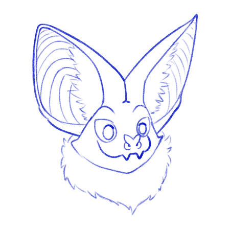 Bat Sketch